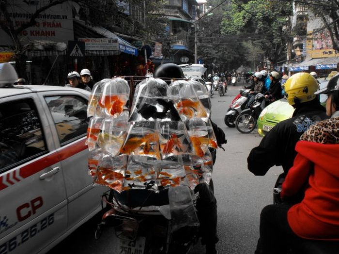 Прикольные картинки (133 фото)