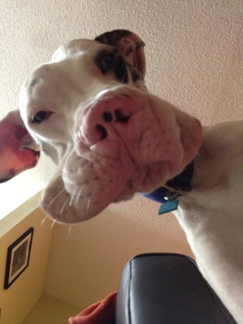 Прикольные картинки (133 фото)