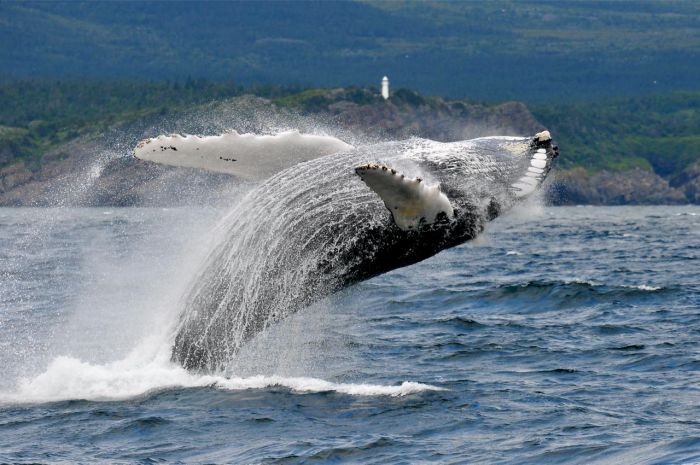 Прикольные картинки (133 фото)