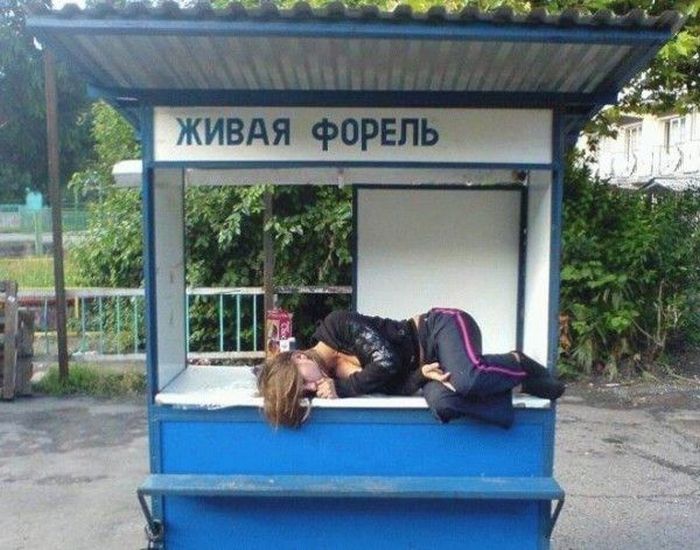 Прикольные картинки (133 фото)