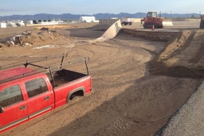 Прикольные картинки (133 фото)