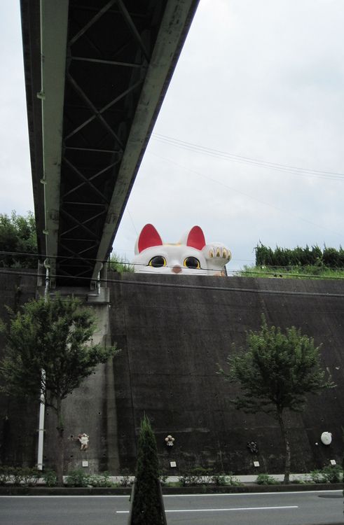 Прикольные картинки (133 фото)