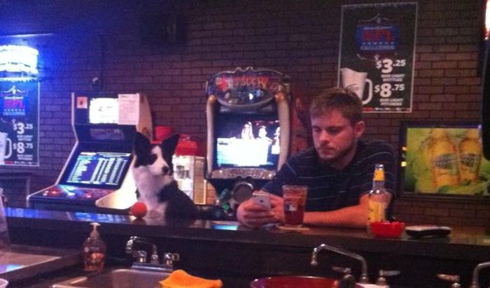 Прикольные картинки (133 фото)