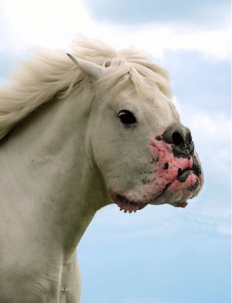 Прикольные картинки (133 фото)