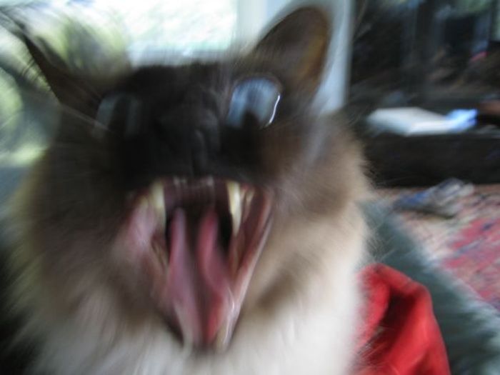 Прикольные картинки (133 фото)