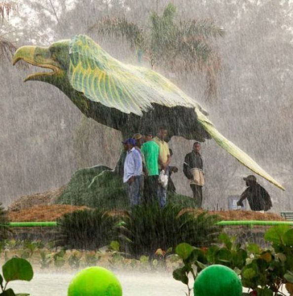 Прикольные картинки (133 фото)