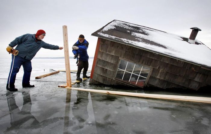Прикольные картинки (113 фото)