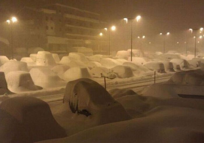 Прикольные картинки (113 фото)