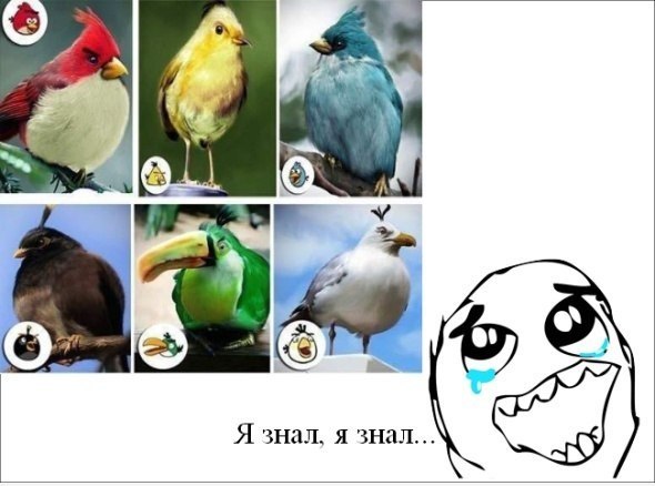 Смешные комиксы (30 картинок)