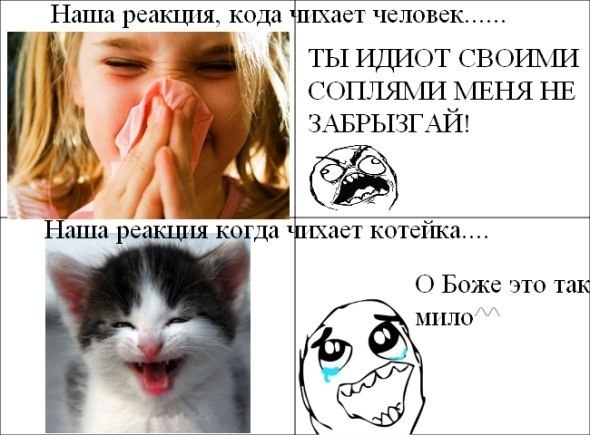 Смешные комиксы (30 картинок)