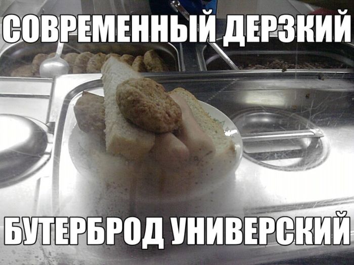 Прикольные картинки (105 фото)