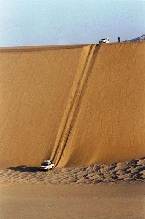 Прикольные картинки (105 фото)