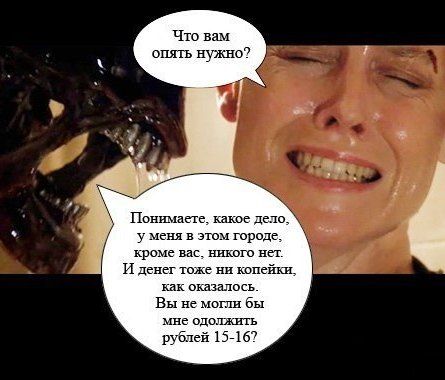 Прикольные картинки (105 фото)