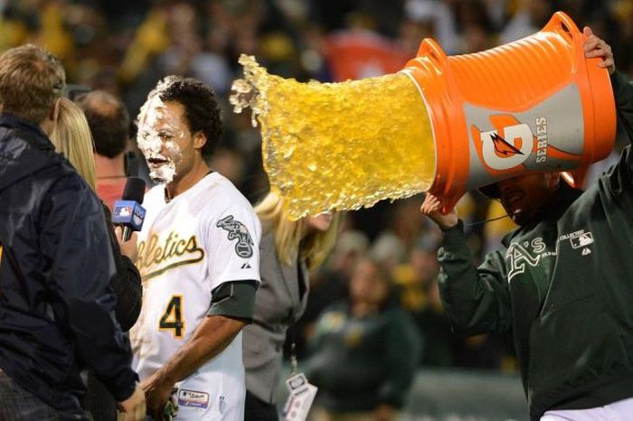 Прикольные картинки (105 фото)