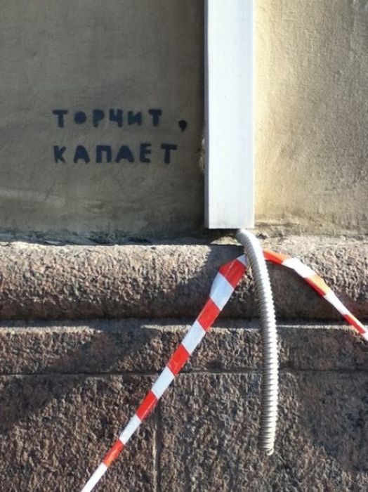 Прикольные картинки (105 фото)