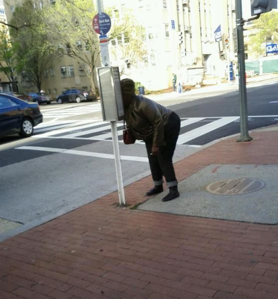 Прикольные картинки (94 фото)