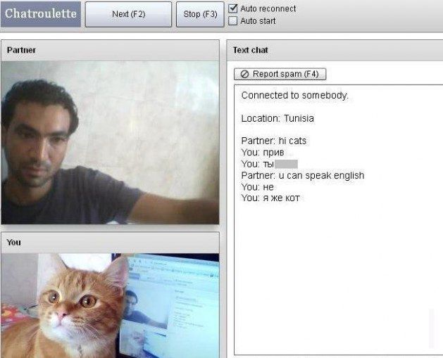 Прикольные картинки (128 фото)