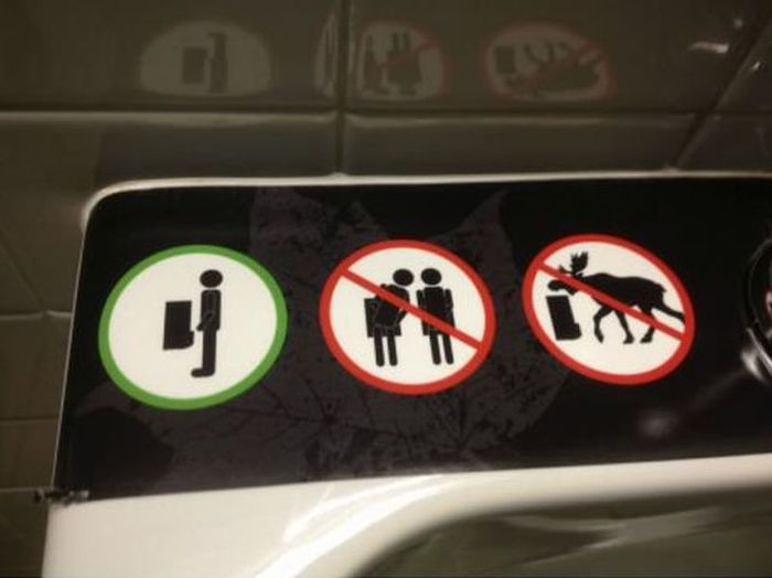 Прикольные картинки (128 фото)