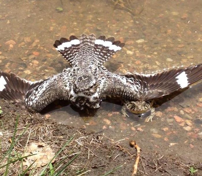 Прикольные картинки (128 фото)