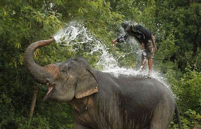 Прикольные картинки (128 фото)