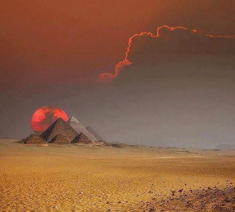 Прикольные картинки (128 фото)