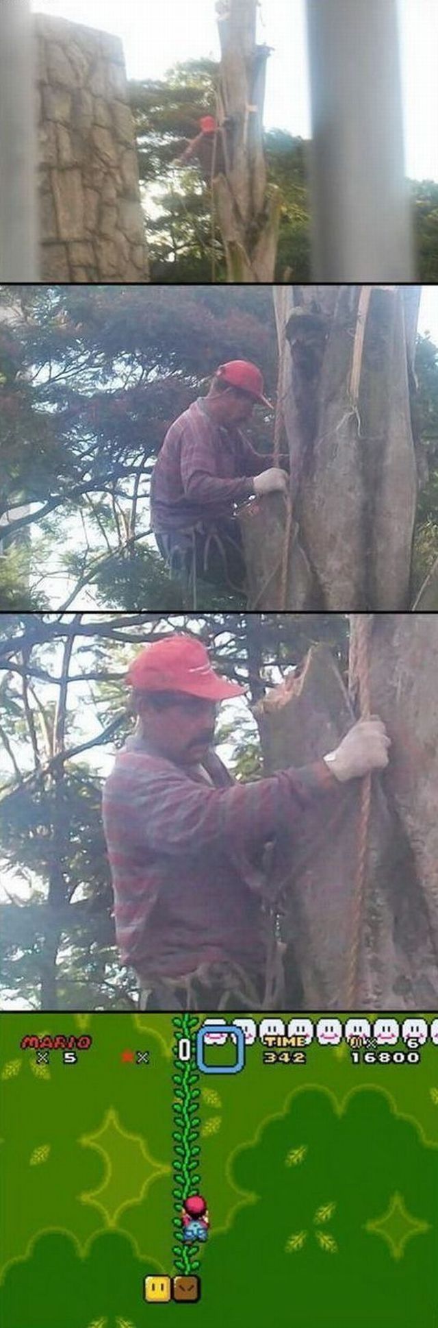 Прикольные картинки (91 фото)