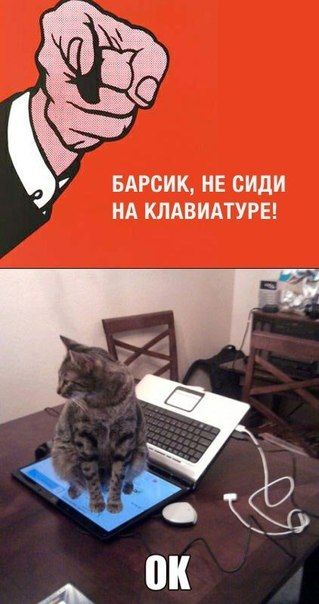 Прикольные картинки (91 фото)