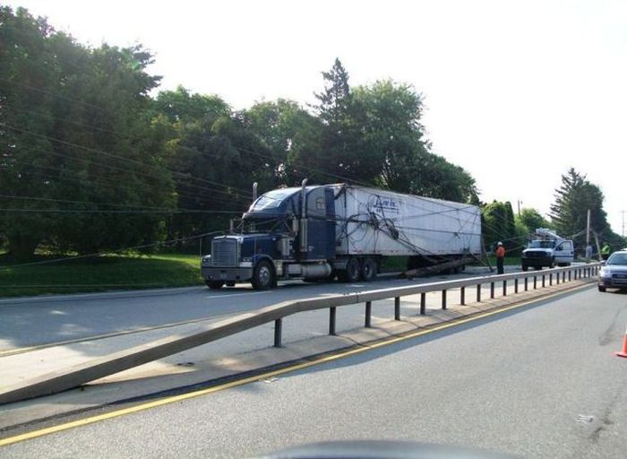 Прикольные картинки (91 фото)