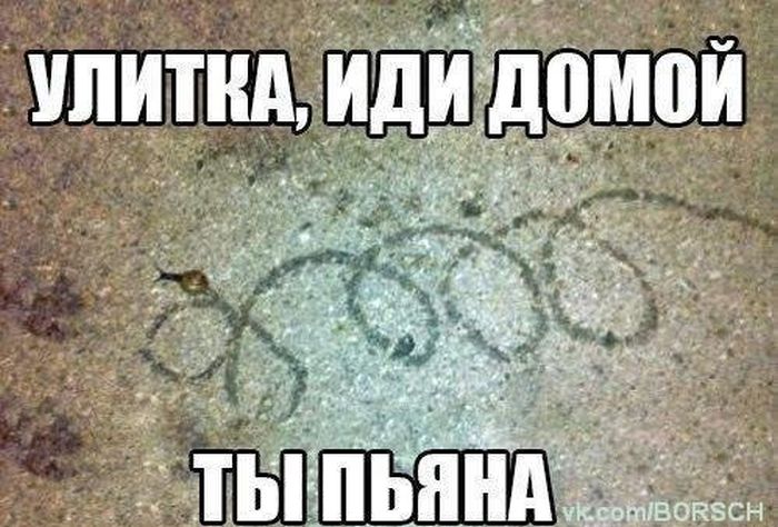 Прикольные картинки (91 фото)