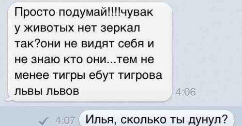 Прикольные картинки (91 фото)