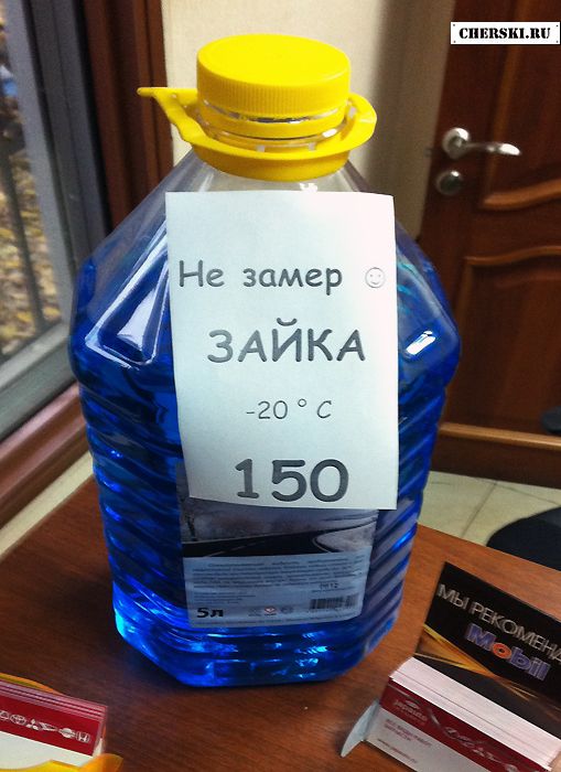 Прикольные картинки (91 фото)