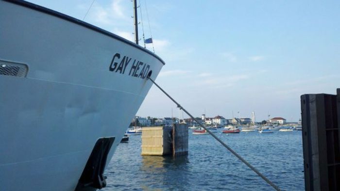 Прикольные картинки (91 фото)