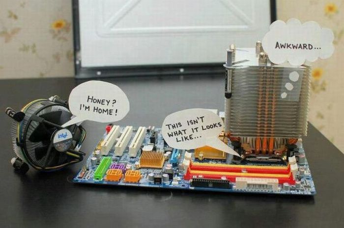 Прикольные картинки (91 фото)