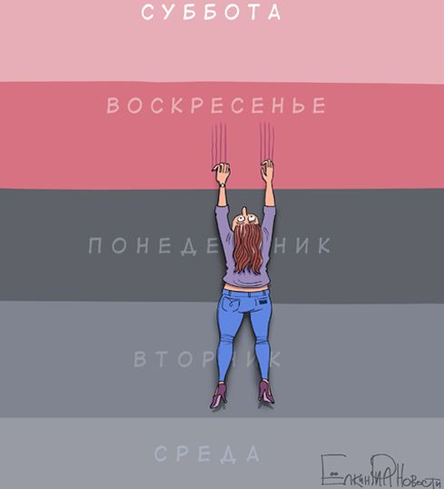 Прикольные картинки (91 фото)