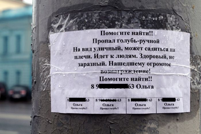 Прикольные картинки (90 фото)