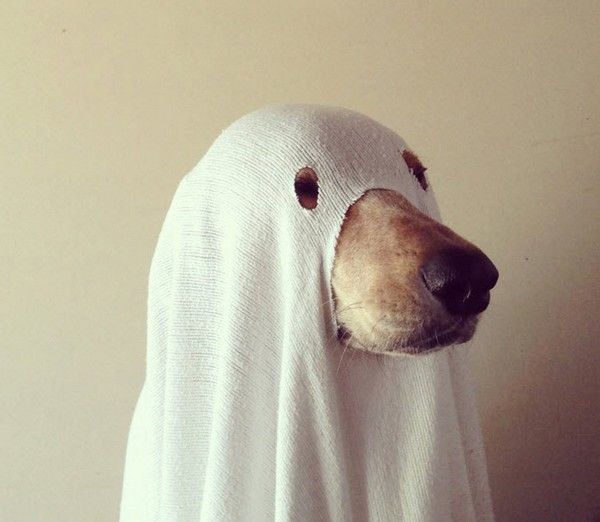 Прикольные картинки (90 фото)