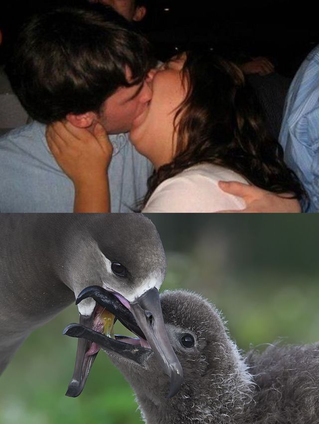 Прикольные картинки (90 фото)