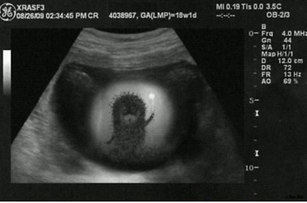 Прикольные картинки (107 фото)