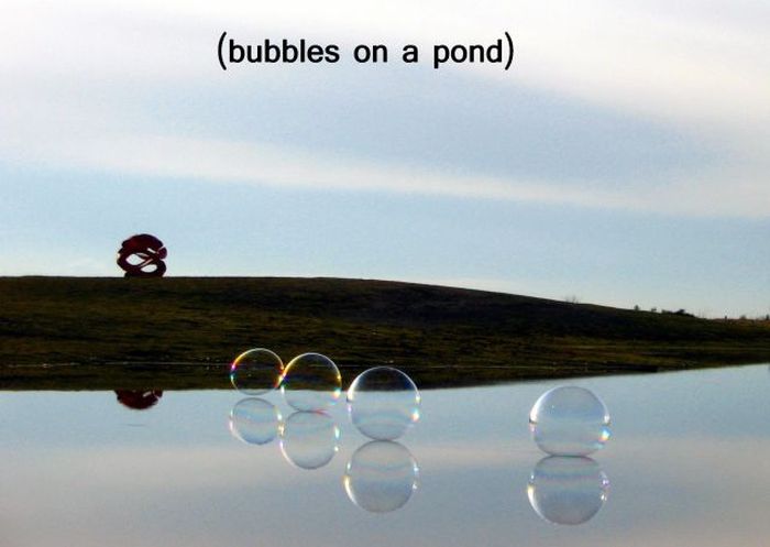 Прикольные картинки (107 фото)