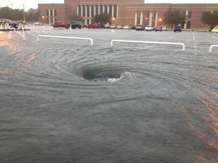 Прикольные картинки (98 фото)