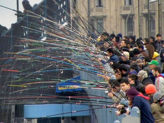 Прикольные картинки (98 фото)