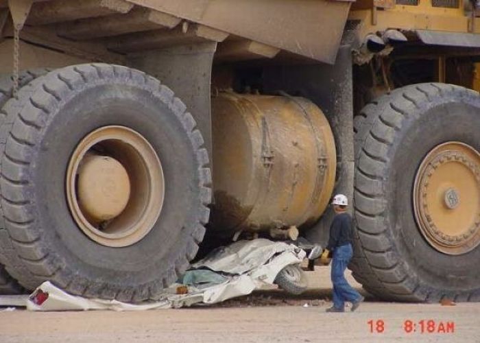 Прикольные картинки (98 фото)