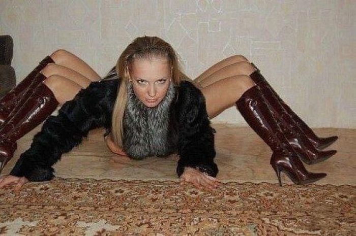 Прикольные картинки (102 фото)