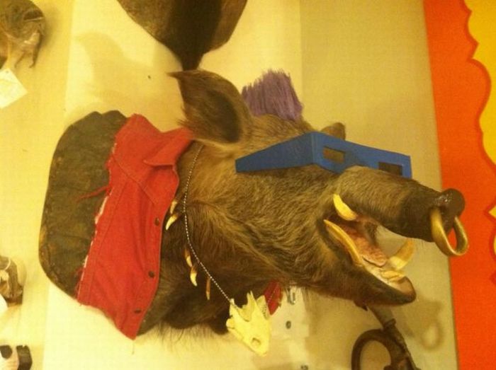 Прикольные картинки (102 фото)