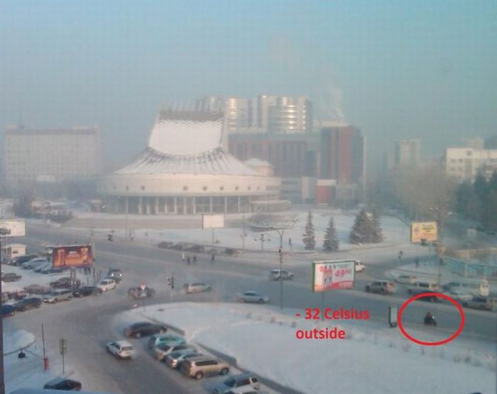 Прикольные картинки (102 фото)