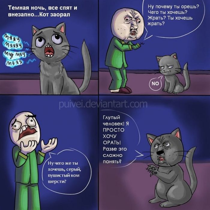 Прикольные картинки (102 фото)