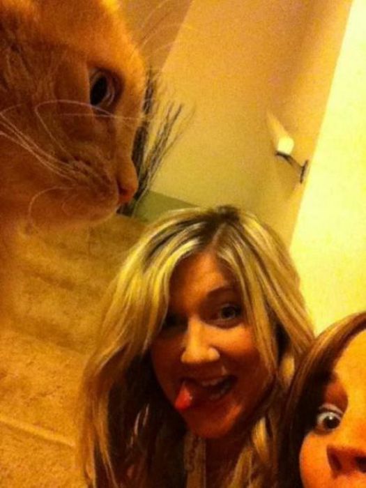 Фотобомбы. Часть 29. (50 фото)