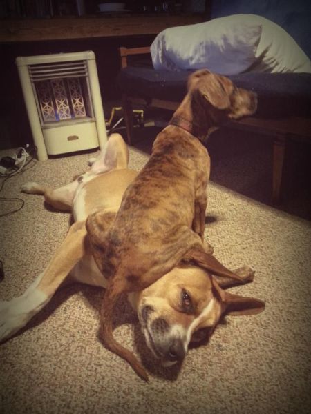 Прикольные картинки (84 фото)