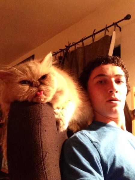 Прикольные картинки (84 фото)