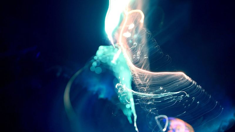 Фейерверки (17 фото)